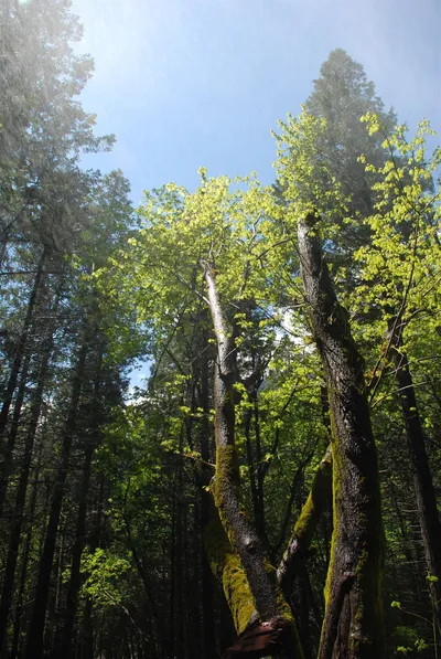 DSC_0080 (Large).JPG